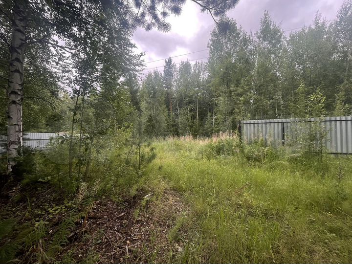 Дача 20 м² на участке 16 сот.