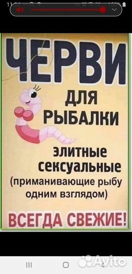 Черви для рыбалки