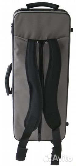 Альт-саксофон Roy Benson AS-202 Eb