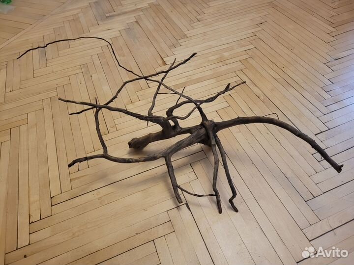 Коряги для аквариума