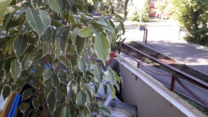 Комната 18 м² в 4-к., 2/4 эт.