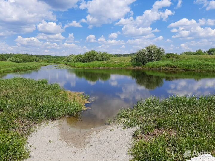 Баня с чаном+массаж