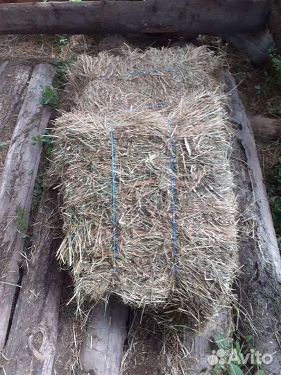 Сено в тюках