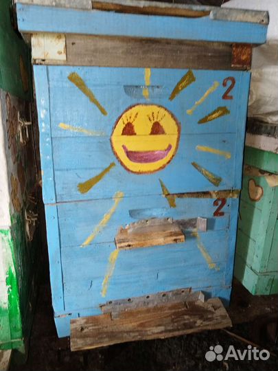 Продам ульи для пчел