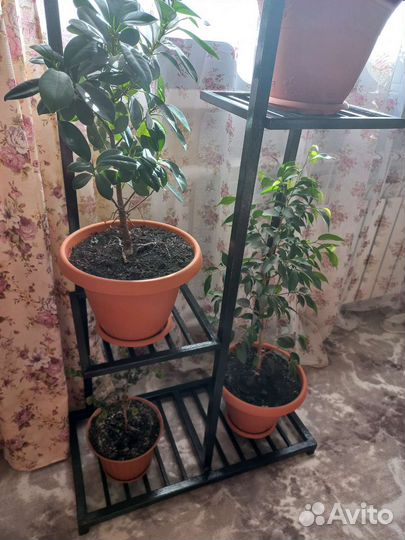 Подставка для цветов напольная металлическая