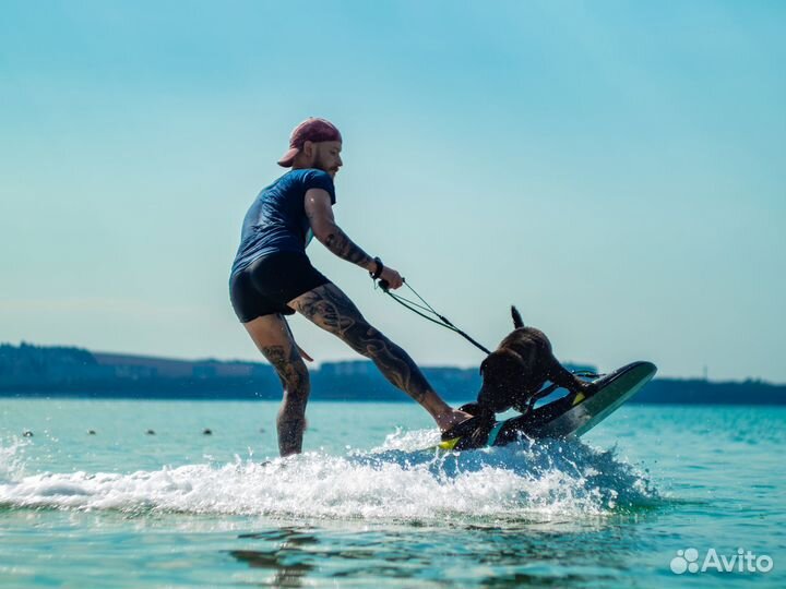 Аренда электросерфа Jetsurf в Геленджике