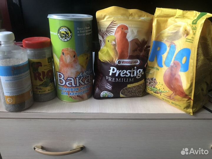 Продаю кенарей, гульд(самцов и самочек)