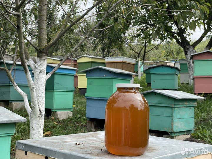 Натуральный мед с домашней пасеки