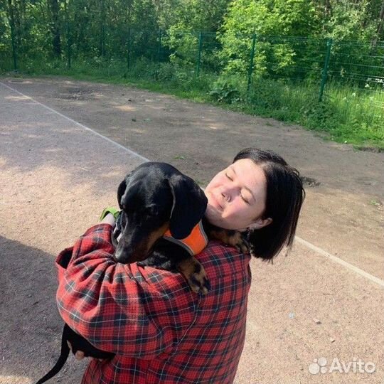 Любая работа, подработка