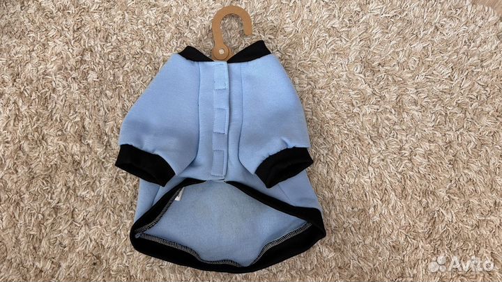 Одежда для собак