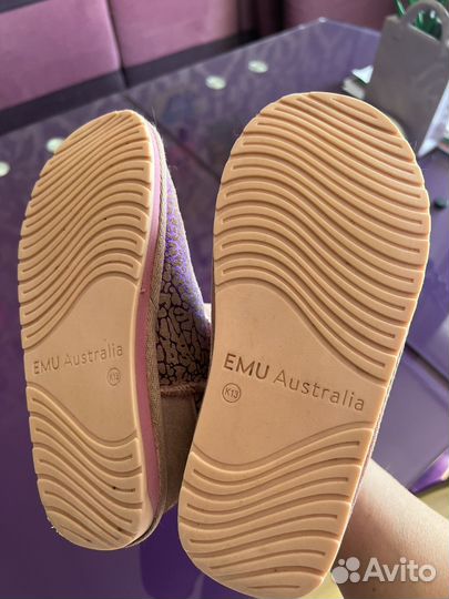 Emu australia 31