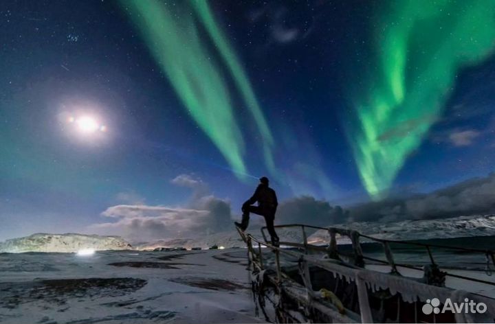 В погоне за Авророй с знающим охотником