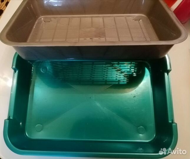 Лоток для котят