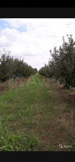 Участок 2 га (СНТ, ДНП)