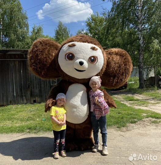 Праздники и мероприятия
