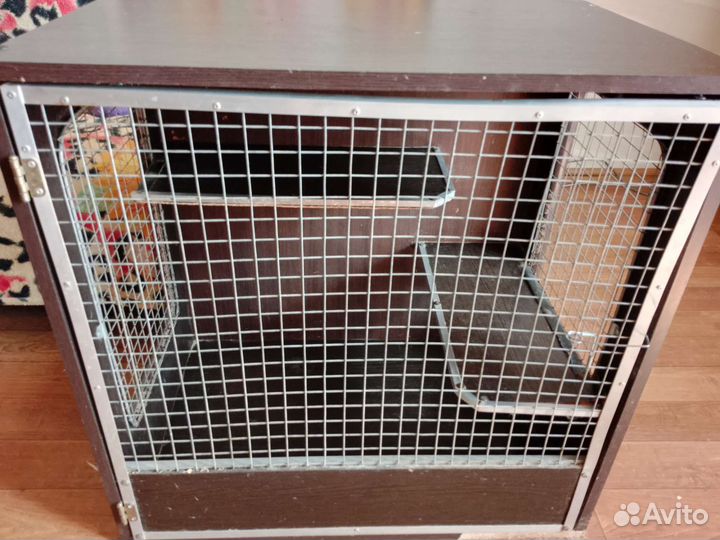 Витрина для шиншилл, крупных грызунов