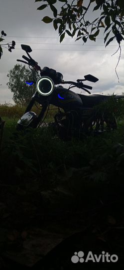 Пдам мопед альфа