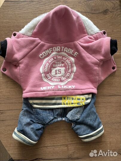 Одежда для собак