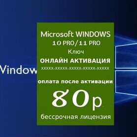 Windows 11 Professional Retail/OEM