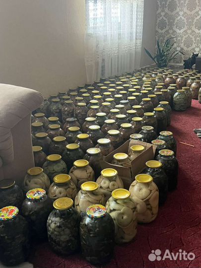 Маринованные грибы рыжики, маслята, опята