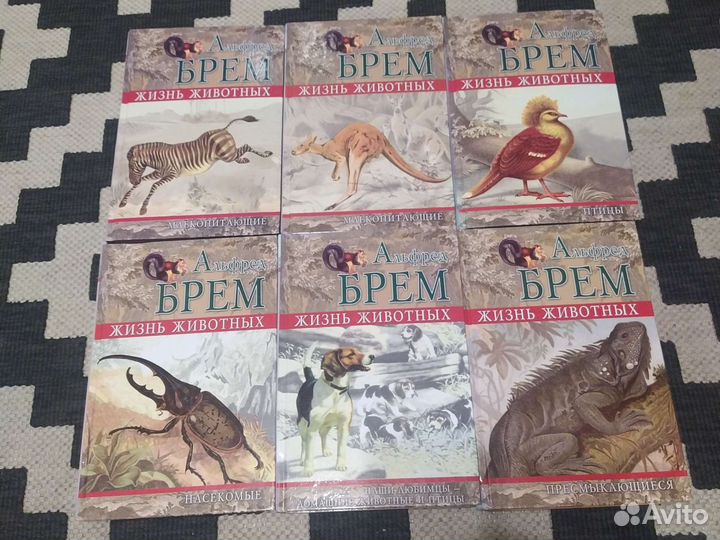 Книги о животных