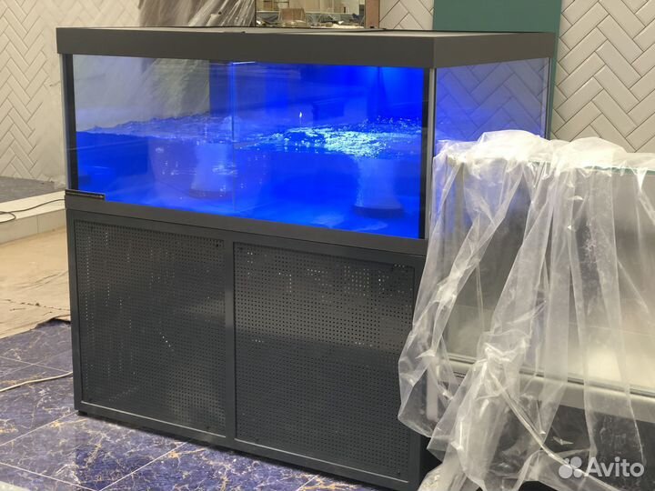 Аквариум для живой речной рыбы