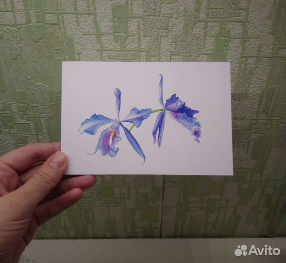 Открытки с моими работами