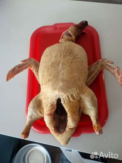 Мясо утки муларда