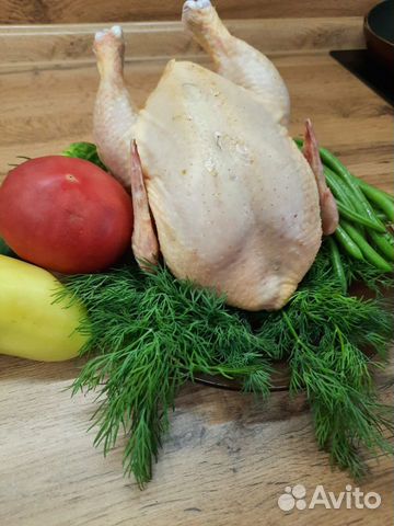 Цыплята табака деревенские