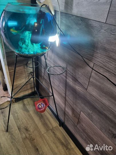 Продам аквариум с рыбками