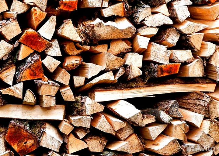 Дрова летней заготовки