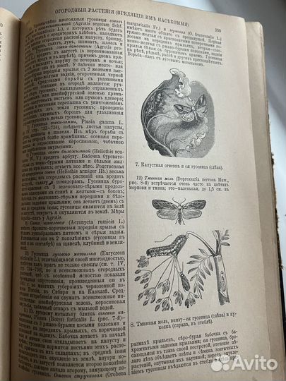 Полная энциклопедия русского сельского хозяйства