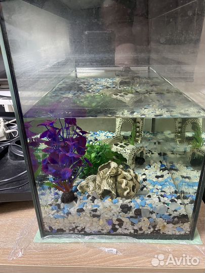 Аквариум 65 л