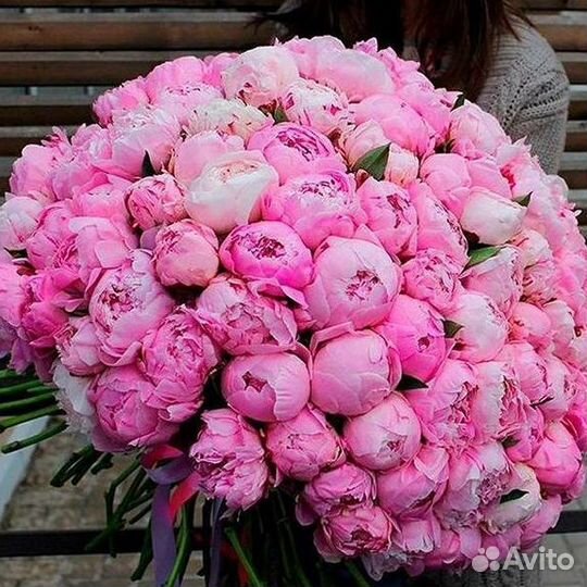 Пионы Букет