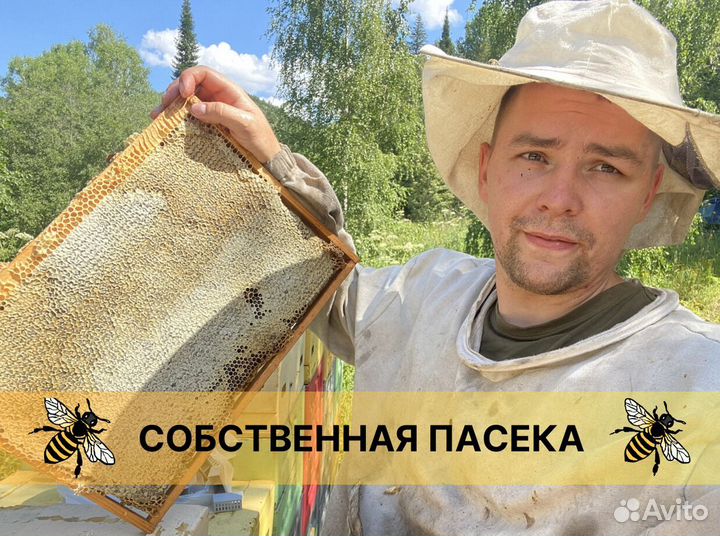 Мед свежий урожай 2023