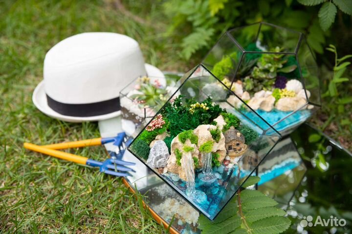 Моссариум в кубе