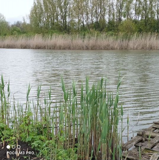 Участок 10,5 сот. (ИЖС)