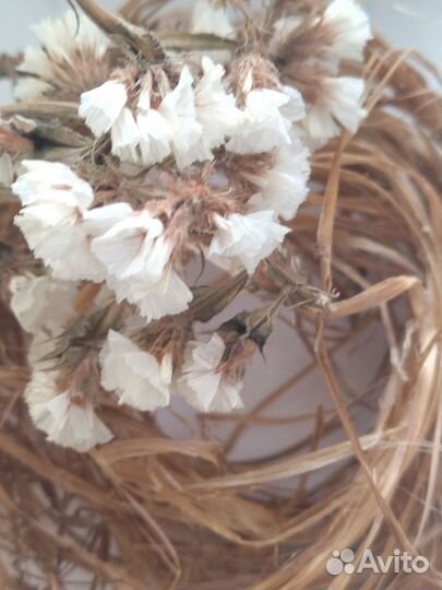 Цветы сухоцветы