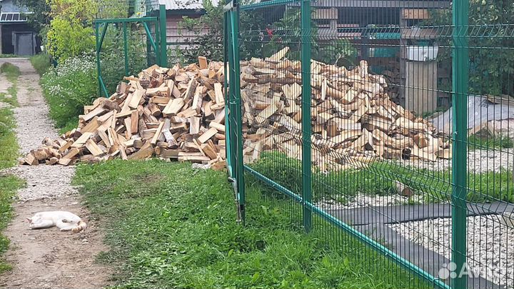 Дрова берёза Горбыль