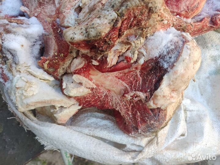 Мясо для собак говядина рубленная