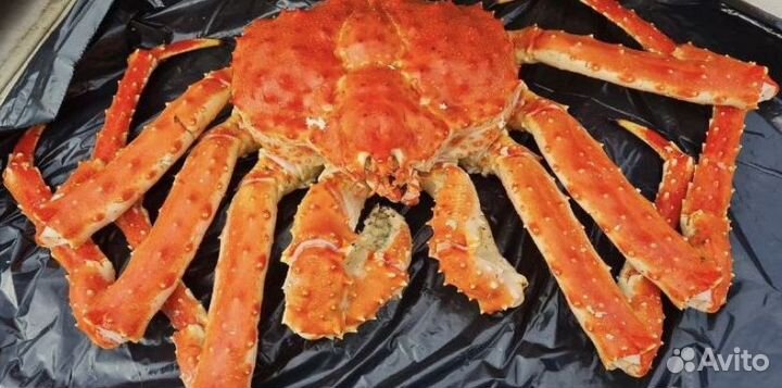 Икра, краб, креветка, рыба, морепродукты оптом