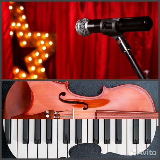 Обучение музыке : скрипка,вокал,сольфеджио,ф-но