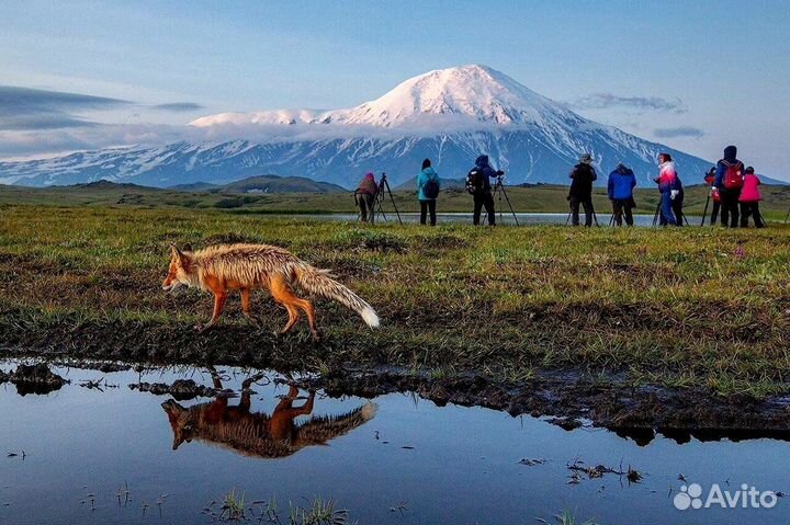 Пешие прогулки на Камчатке, Хайкинг