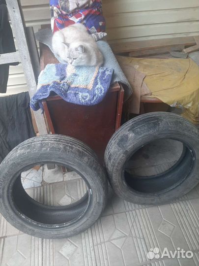 Neolin NeoGreen+ 195/55 R16