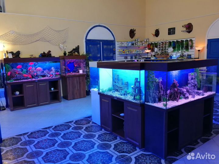 Аквариумы любых размеров