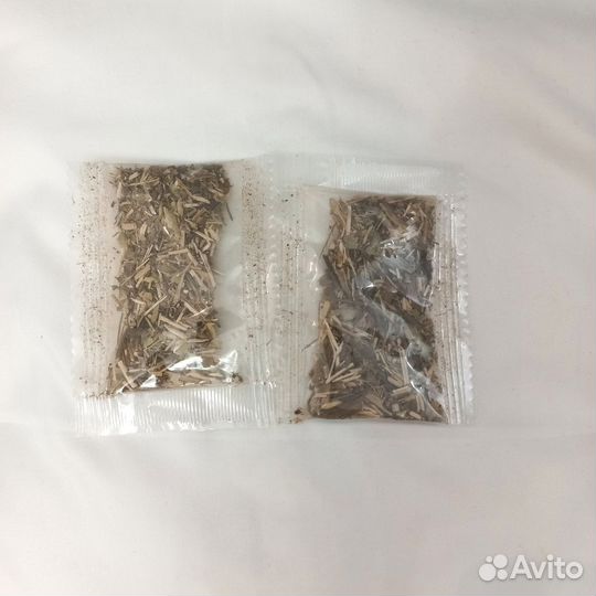 Кошачья мята