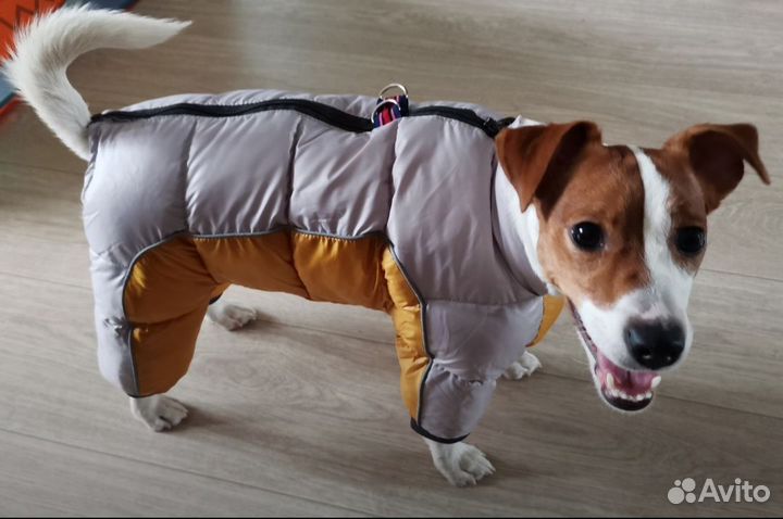 Зимний комбинезон для собаки
