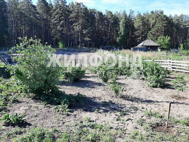 Дом 40 м² на участке 20 сот.