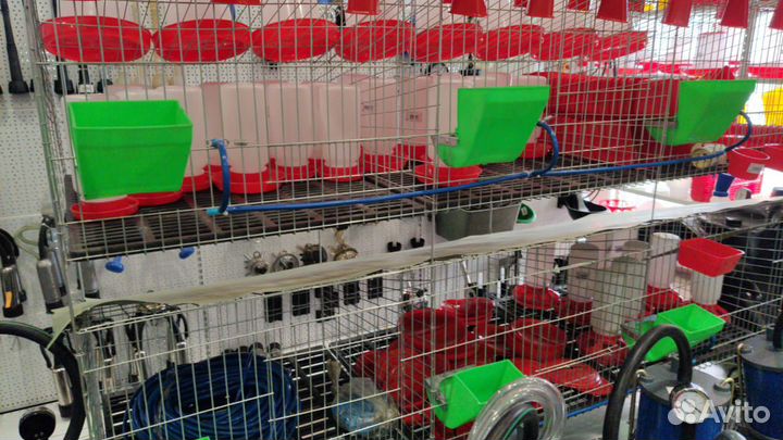 Кормушки поилки для кур, кроликов, перепелов, птиц