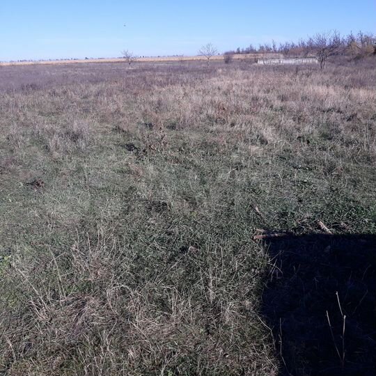 Участок 12 сот. (ИЖС)